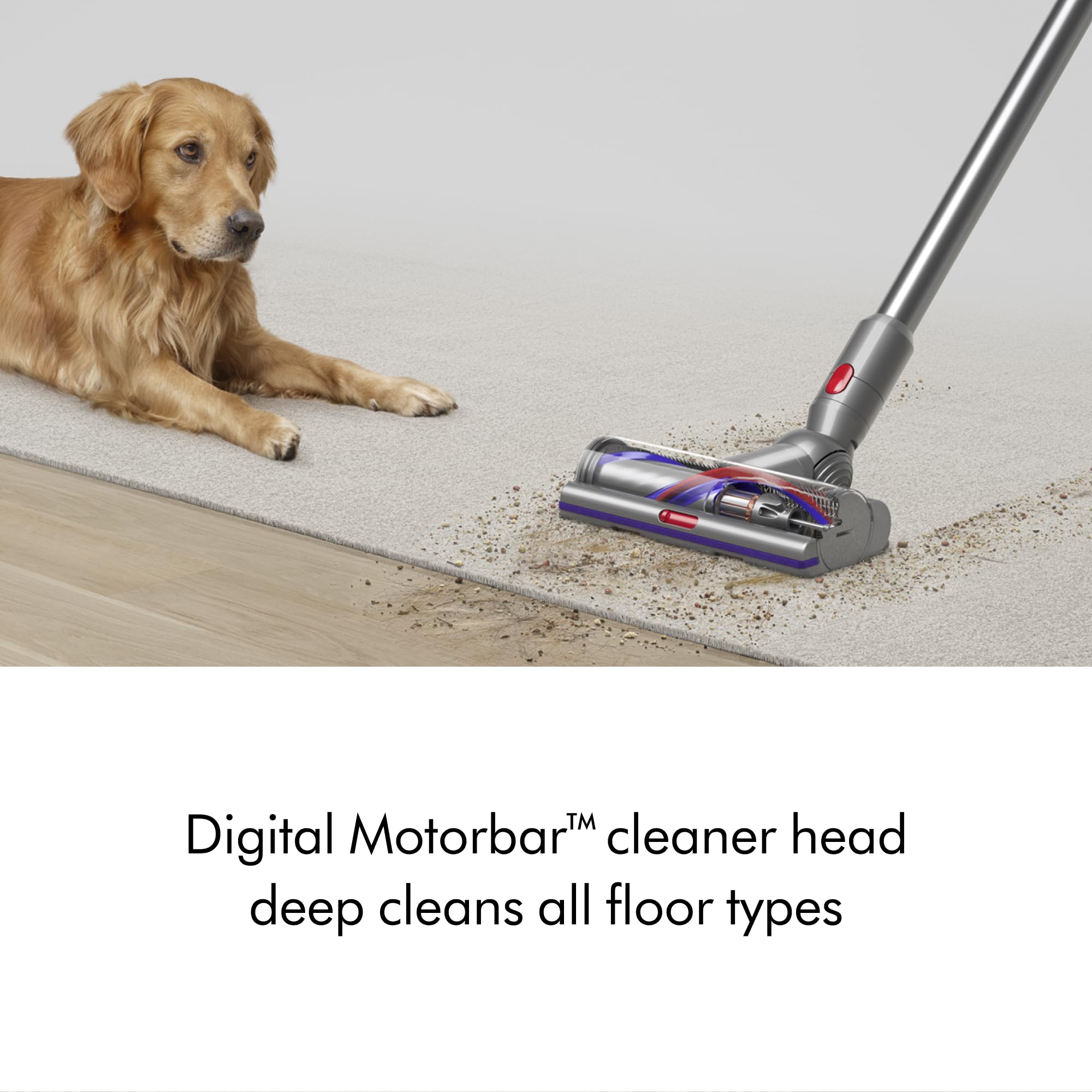 Dyson V15 Detect Plus Cordless Vacuum (240AW)