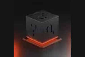 Black Box